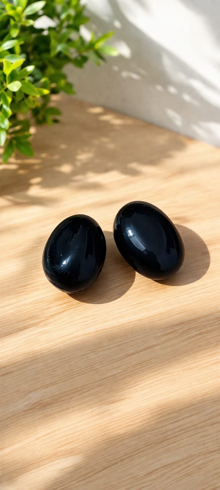 Original Shaligram Bhagwan Stone